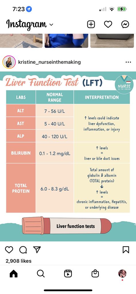 Liver Function Test Normal Values, Liver Function Test Interpretation, Medications Nursing, Quadrants Of The Abdomen, Kidney Function Test, Nursing Flashcards, Liver Function Test, Nurse Notes, Clinical Chemistry