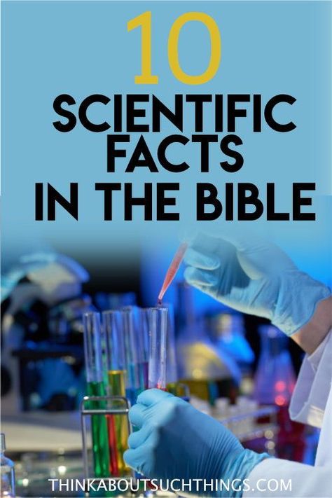 Bible Facts Strange, Did You Know Bible Facts, Weather In The Bible, Bible Fun Facts, Interesting Bible Study Topics, Bible Facts For Kids, Bible And Science, What Each Book Of The Bible Is About, Bible Science Experiments