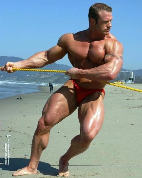 Insipired Muscle Arnold Bodybuilding, Old Bodybuilder, Muscle Bodybuilder, Man Beard, Muscular Legs, Bodybuilders Men, Muscle Hunks, Beefy Men, Big Muscles