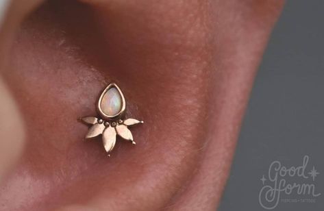 Good Form Piercing’s Instagram profile post: “We love this conch piercing Mercedes did for @cadebiix featuring the beautiful rose gold and opal Lavish end from @buddhajewelryorganics…” Conch Piercing, Beautiful Rose, Brown Skin, Conch, Piercing Jewelry, Beautiful Roses, Our Love, Belly Button Rings, Christmas Party