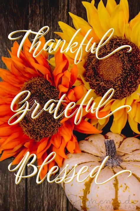 Happy Thanksgiving Wallpaper, Happy Thanksgiving Pictures, Happy Thanksgiving Images, Thanksgiving Messages, Happy Thanksgiving Turkey, Thanksgiving Blessings, Thanksgiving Pictures, Thanksgiving Wishes, Thanksgiving Images