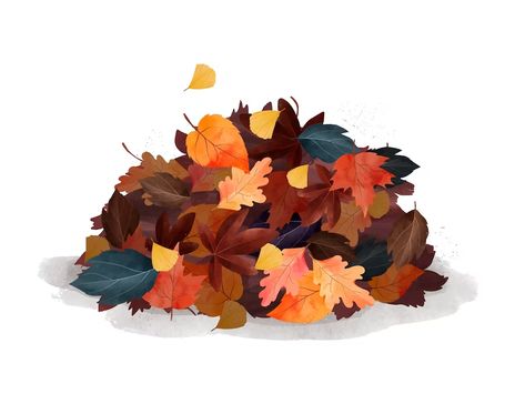 Pile Of Leaves, Leaf Drawing, Leaves Vector, Autumn Leaves, Graphic Resources, Vector Free, Art Inspiration, Drawings, Anime