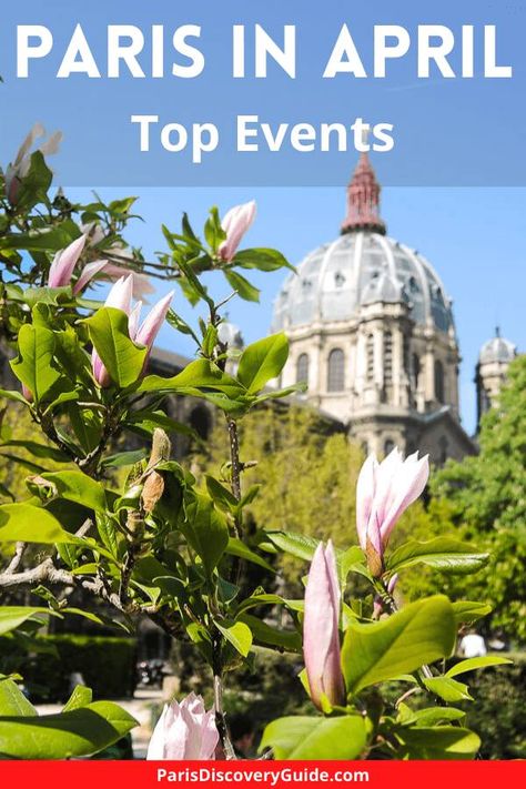 Magnolias blooming near Saint Augustin Church in Paris in April April Events, Paris In April, Paris Trip Planning, Paris Neighborhoods, Paris Things To Do, Paris In Spring, Paris Tips, Day Trip From Paris, Things To Do In Paris