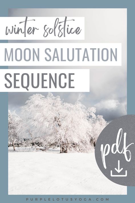 The winter solstice is upon and one way to celebrate is with a moon salutation sequence. Not familiar with this sequence of postures, check out our YouTube video on how to do a moon salutation. Moon Salutation Sequence, Best Yoga Videos, Yoga Information, Yoga Themes, Purple Lotus, Yoga Youtube, Yoga Business, Lotus Yoga, Parasympathetic Nervous System