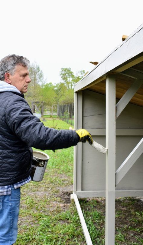 A New Shelter for My Geese - The Martha Stewart Blog Sebastopol Geese, Goose House, Large Yard, Martha Stewart Living, Nesting Boxes, Farm Yard, Martha Stewart