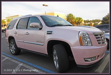 i want my trailblazer mary kay pink !!! Pink Escalade, Mary Kay Pink Cadillac, Mary Kay Pink, Pink Cadillac, Mary Kay Business, Super Luxury Cars, Cadillac Escalade, My Dream Car, Mary Kay