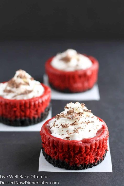 Mini Red Velvet Cheesecakes | Dessert Now, Dinner Later! Red Velvet Cheesecake Recipe, Red Velvet Cheesecake Cupcakes, Red Velvet Cheesecake Cake, Live Well Bake Often, Cheesecake With Whipped Cream, Red Velvet Desserts, Red Velvet Cake Recipe, Velvet Cheesecake, Velvet Cake Recipes