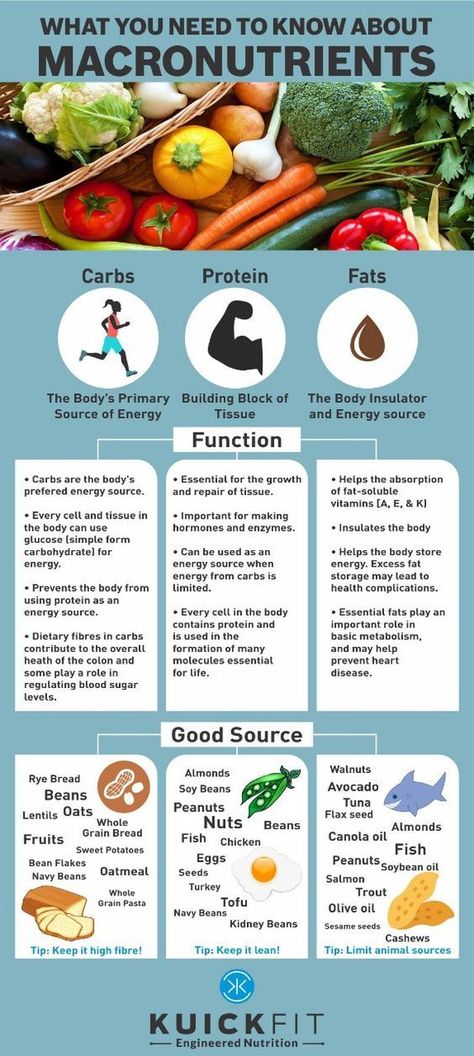 Teaching Nutrition, Food Wellness, Nutrition Poster, Nutrition Infographic, Md Anderson, Human Nutrition, Nutrition And Dietetics, Keto Foods, Healthy Food Motivation