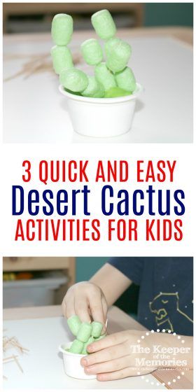 If you’re looking for quick and easy preschool cactus crafts and activities, then you’re definitely going to want to check out this post. You’ll find fun cactus ideas for Math, Science, and of course Art that are perfect to do with your little kids during your next desert theme. #preschool #desert #activities Cactus Art Preschool, Fiesta Preschool Activities, Preschool Desert Theme, Desert Theme Preschool, Desert Activities For Preschool, Desert Crafts Preschool, Desert Animals Preschool, Desert Preschool Activities, Desert Preschool