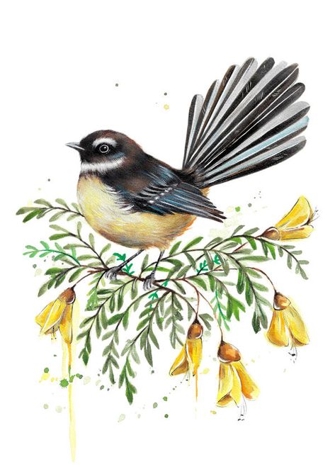 A wee Fantail or Pīwakawaka perched in some vibrant yellow Kōwhai flowers.This piece would match nicely with the 'Full Bloom Tui' piece. Painting Ideas On Canvas Birds, Fantail Bird, Fantail Drawing, Fantail Bird Tattoo, Fantail Art, Tui Drawing, Fantail Tattoo, Fantail Painting, Fantail New Zealand