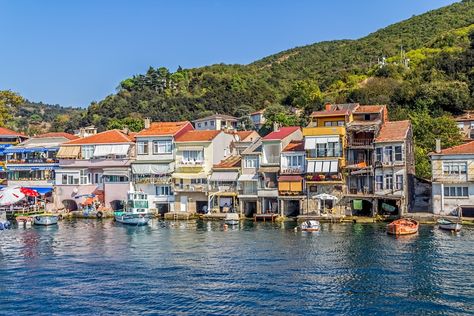 15 Best Day Trips from Istanbul - The Crazy Tourist Day Trips From Istanbul, South Africa Vacation, Turkey Vacation, Africa Vacation, Urban Forest, Istanbul Travel, One Day Trip, Countries To Visit, Turkey Travel