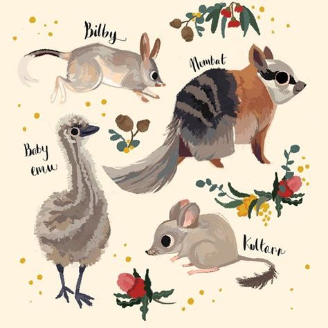 Cal (@puffyfish1100) • Instagram photos and videos Australian Native Animals Drawing, Australian Animals Illustration, Bilby Illustration, Aussie Tattoo, Native Nursery, Ar App, Animal Illustration Kids, Watercolour Animals, Autumn Animals