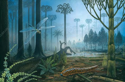 Carboniferous landscape, illustration - Stock Image - C037/2505 - Science Photo Library Swamp Plants, Insects Illustration, Carboniferous Period, Prehistoric Period, Strange Beasts, Prehistoric World, Paleo Art, Science Photos, Extinct Animals