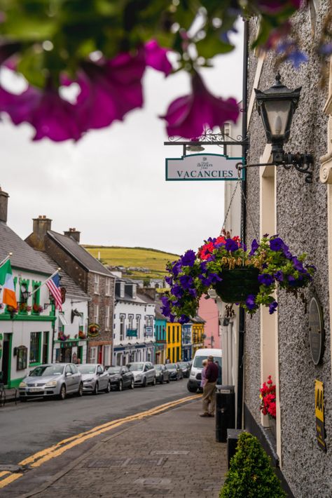 Guide to the Dingle Peninsula | WORLD OF WANDERLUST Ireland In March, Roscommon Ireland, Ireland Aesthetic, Killarney Ireland, Cosy Cafe, Dingle Peninsula, World Of Wanderlust, Kerry Ireland, County Kerry