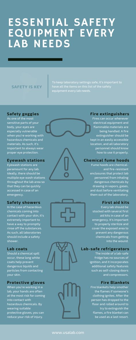 Essential Safety Equipment Information Scout Merit Badges, Science Safety, Eye Wash Station, Boy Scouts Merit Badges, Scout Projects, Fume Hood, Court Of Honor, Lab Safety, Heat Resistant Gloves