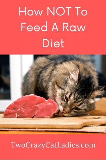 If you follow us, you know that we advocate to feed a raw diet to kitties for better health and longevity, however, you can do this wrong. I believe that the reason most conventional veterinarians discourage raw feeding is because many think this is just buying ground meat at the market and feeding that as a diet. Cat Raw Food, Raw Cat Food Diet, Homemade Raw Cat Food, Raw Cat Food Recipes, Homemade Cat Food, Sick Cat, Cat Nutrition, Raw Meat, Cat Food Bowl