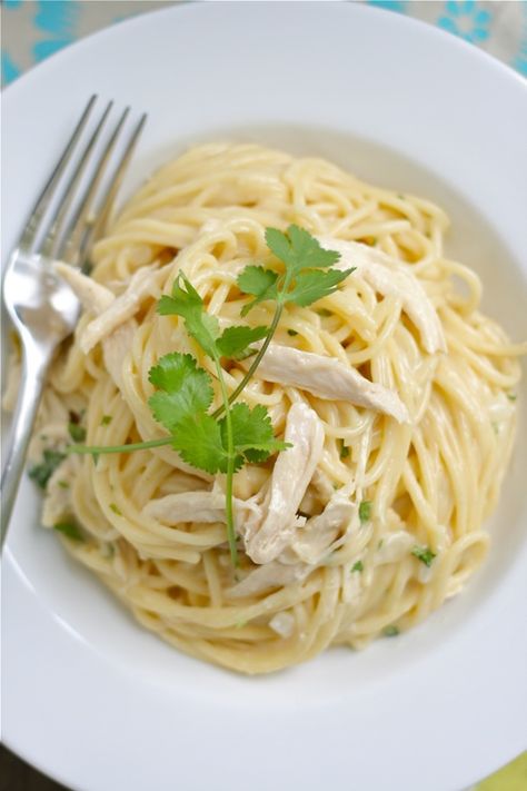 Tex-Mex Chicken White Cheddar Spaghetti 1 Cheddar Spaghetti, Spaghetti With White Sauce, White Chicken Spaghetti, Tex Mex Chicken, Chicken Spaghetti Recipes, Appetizer Ideas, Cheesy Pasta, Chicken Spaghetti, White Chicken