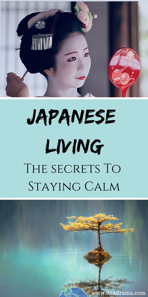 Japanese Etiquette, Japan With Kids, Japanese Living, Japan Living, Life In Japan, Staying Calm, Japanese Holidays, Japanese Nature, The Sun Also Rises