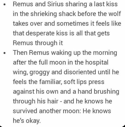 Marauders Headcanons, Marauders Tweets, Headcanon Harry Potter, Hp Ships, Harry Potter Texts, Harry Potter Friends, Remus And Sirius, Gay Harry Potter, Harry Potter Headcannons