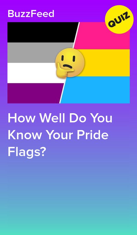 Pride Flag Diy, Ace Outfit Pride, Ace Art Pride, Pan Art Lgbtq, Pride Flag Outfit, Pride Gifts Diy, Lgbtqia+ Flags, Ace Lesbian Flag, All Lgbtq Flags