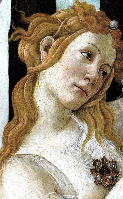 Botticelli Art, Botticelli Paintings, Artist Comics, Venus Painting, Alphonse Mucha Art, Sandro Botticelli, Dark Tattoo, T Art, Gallery Art