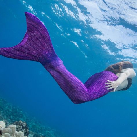 Top Gifts for kids in military families #militaryfamily #christmasgifts #beamermaid #giftsforkids Mermaid Tail Purple, Swimming For Kids, Mermaid Photoshoot, Fin Fun Mermaid Tails, Realistic Mermaid Tails, Mermaid Swim Tail, Fin Fun Mermaid, Realistic Mermaid, Fin Fun