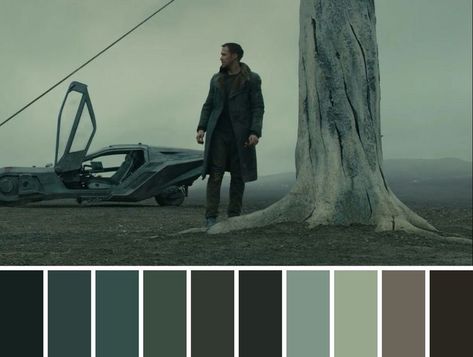 Films Color Palette, Movie Palette Color, Dystopian Color Palette, Cinematic Colour Palette, Cinematic Pallet, Cinematography Color Palette, Military Color Palette, Movie Color Grading, Cinema Color Palette