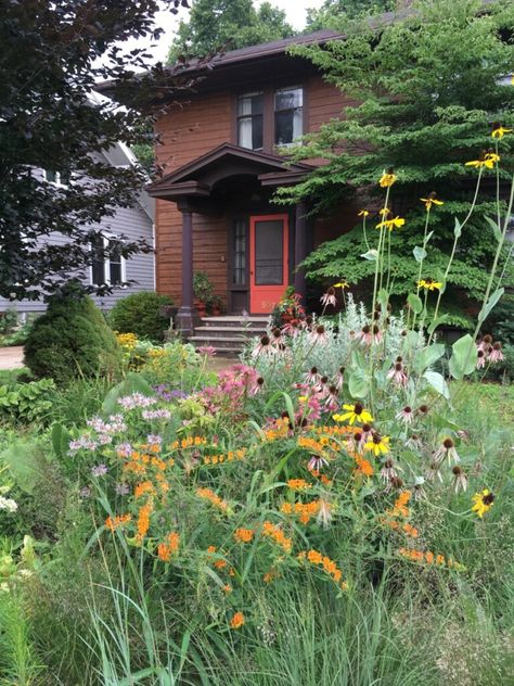 Wildflower Garden Front Of House, Front Yard Prairie Garden, Ohio Native Flower Garden, Wild Front Garden, Midwest Native Landscaping, Native Garden Ideas, Native Plant Garden Design, Tea Garden Design, Native Wildflower Garden