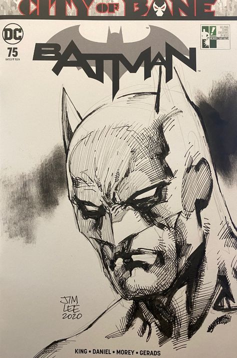 Batman Punisher Daredevil, Jim Lee Batman, Ryan Ottley, Jim Lee Art, Batman Drawing, Batman Artwork, Univers Dc, Jim Lee, Arte Dc Comics