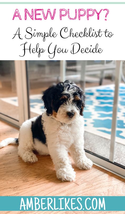 Should I get a puppy? A simple checklist for families considering a dog. With personal experience from an honest and busy Mom. #puppy #momlife #newdog #dog #parenting #justformoms Getting A Dog Checklist, New Dog Mom, Parent Hacks, Bad Dog Breath, Puppy Mom, Cesar Millan, Things To Do At Home, Dog Essentials, Getting A Puppy