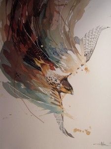 Rachel Walker, Falcon Art, Polygon Art, It Original, Bird Artwork, Rare Animals, Drawing Artist, Watercolor Bird, Aboriginal Art