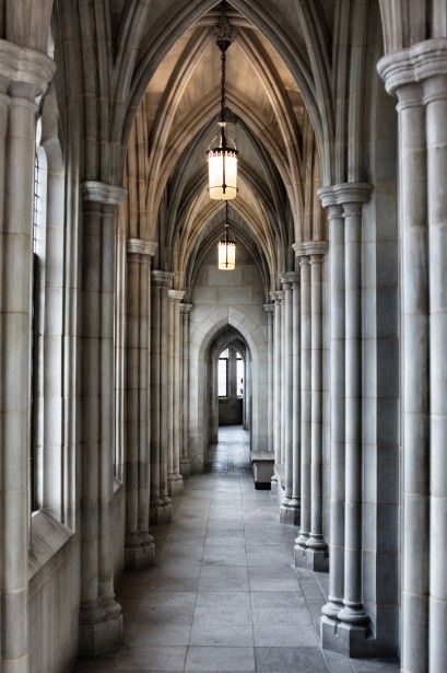 Gothic Hallway, Baroque Cathedral, Architecture Baroque, Column Design, Cathedral Church, Classical Architecture, Gothic Architecture, Ancient Architecture, View Image