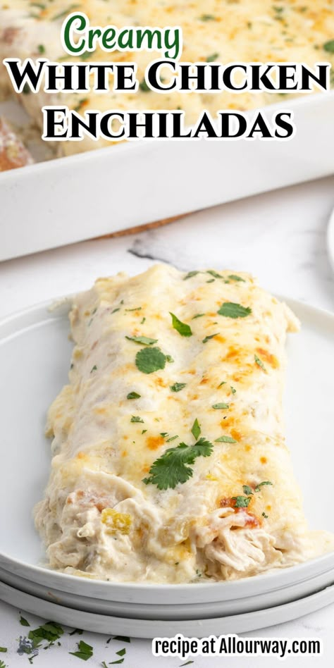 White Chicken Enchilada Recipe, Creamy White Chicken Enchiladas, Recipe With Cilantro, Creamy Chicken Enchiladas Recipe, Cilantro Recipes, White Chicken Enchiladas, Creamy Chicken Enchiladas, Enchilada Recipe, Chicken Enchilada Recipe