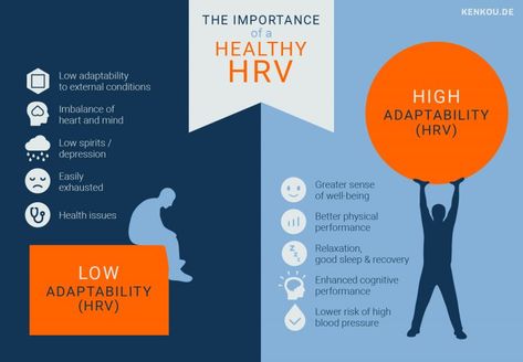 Heart Rate Variability, Adrenal Fatigue Symptoms, Sports Therapy, Apple Health, Flow State, Autonomic Nervous System, Vagus Nerve, Adrenal Fatigue, Physical Therapist