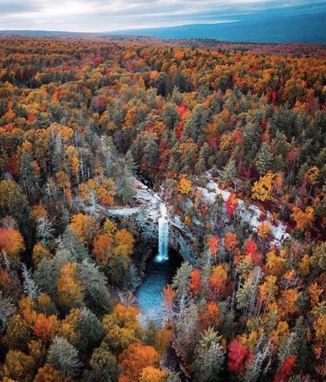 What is your favorite season of the year? We love these Fall colors from the Catskill Mountains in New York! 📸: @ryanresatka  • • • #landio #hellolandio #landisopportunity #realestate #landscape #nature #travel #property #travelgram #getoutside #adventure #explore #catskills #ny #TrekkingToes Upstate Ny Travel, Camping Foods, Lake George Village, Summer Vacation Spots, Romantic Cruise, Fun Winter Activities, Catskill Mountains, Mountain Photos, Autumn Scenery