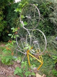 Repurposed Garden Decor: Crafty or Junky? Repurposed Bike, Tire Ideas, Bicycle Spokes, Fantasy Garden, Green World, Green Craft, Cycle Chic, Urban Gardening, Bicycle Art