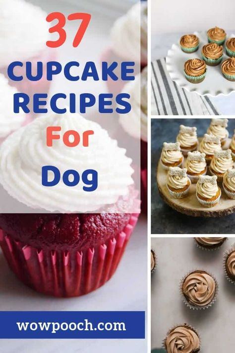 Cupcakes For Dogs Recipe, Pupcake Recipe, Recipes For Dogs, Dog Cupcake, Dog Cupcakes, Make Dog Food, Dog Biscuit Recipes, Dog Biscuits Homemade, Easy Dog Treats