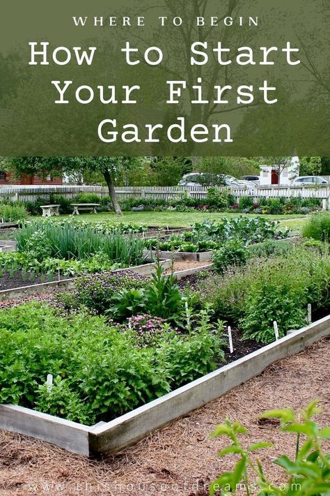 Garden Small Backyard, Easy Gardening Hacks, Starter Garden, Start A Garden, First Garden, Backyard Layout, Garden Layout Vegetable, Vegetable Garden Planning, Vegetable Garden For Beginners