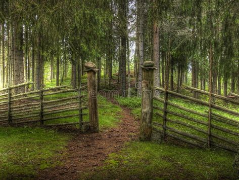 Gateway on forest path. An open gateway along a footpath through a fence in the , #sponsored, #path, #forest, #Gateway, #open, #fence #ad Forest Fence, Old Garden Gates, Forest Gate, Genius Hour, Small Fence, Castle Gate, Old Wooden Doors, Wrought Iron Gate, Steel Gate