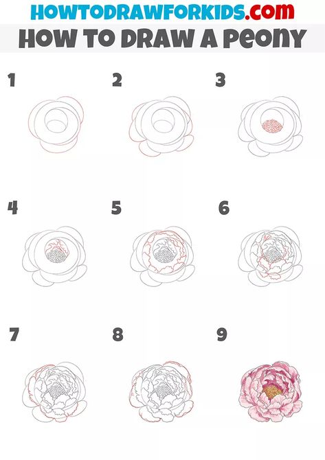 How to Draw a Peony - Easy Drawing Tutorial For Kids Draw A Peony, Peony Drawing, Peony Illustration, Peony Art, Flower Drawing Tutorials, Easy Drawing Tutorial, Peony Painting, Flower Art Drawing, Flower Sketches