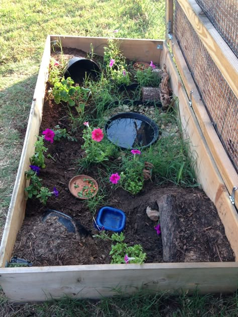 Our ornate box turtle enclosure                                                                                                                                                                                 More Box Turtle Enclosure, Ornate Box Turtle, Tartaruga Habitat, Box Turtle Habitat, Turtle Cage, Outdoor Tortoise Enclosure, Turtle Enclosure, Turtle Care, Tortoise Food