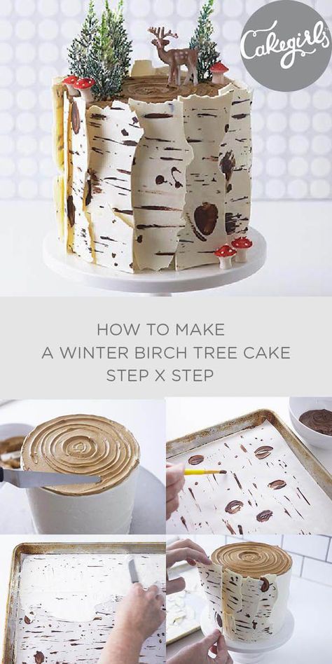 Our Birch Tree Cake tutorial will show you how to make this show stopping Winter inspired cake for Christmas. Shop supplies and see the photo steps! #cakedecoratingideas Birch Tree Cake Tutorial, Tree Cake Tutorial, Birch Tree Cake, Birch Cake, Birch Tree Cakes, Cake For Christmas, Tree Cake, Winter Inspired, Tree Cakes