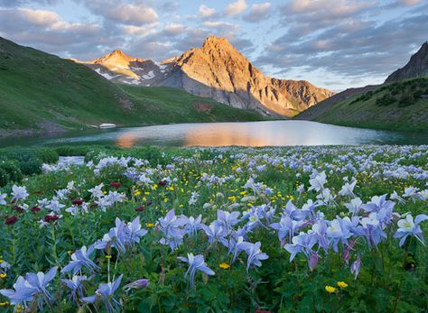 San Juan Mountains Colorado photo by Glenn Randall Sunrise Lake, Outdoor Photographer, Take Better Photos, Arte Sketchbook, Blue Lake, Photography Skills, Slipknot, Nature Aesthetic, Nature Pictures