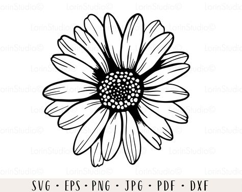 Daisy Flower Drawing, Outline Flower, Flower Tattoo Stencils, Daisy Svg, Outline Images, Daisy Tattoo, Tree Stencil, Black And White Flower, Flower Outline