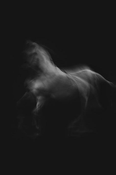 Dark Horse Aesthetic, White Horse Aesthetic, Black Horse Aesthetic, Black Horse Art, Black And White Horse Photography, Photography Black Background, Crazy Personality, Horse Black And White, Spirit Aesthetic