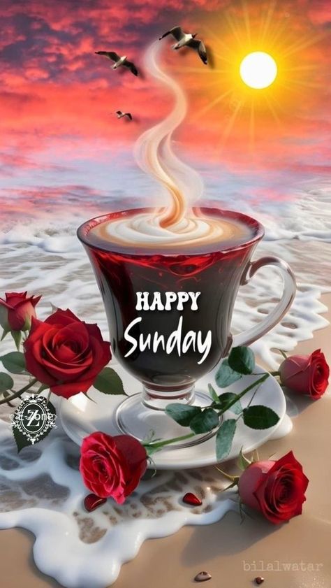 Happy Sunday Coffee And Red Rose day days of the week sunday sunday quotes happy sunday sunday quote Happy Sunday Coffee, Happy Sunday Flowers, Belated Happy Birthday Wishes, Red Rose Pictures, Happy Sunday Images, Good Morning Sunday, Good Morning Hug, Happy Sunday Morning, Sunday Morning Quotes