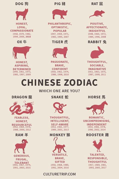 Happy Chinese New Year - which animal are you? Chinese Numerology, Chinese New Year Traditions, Chinese New Year Zodiac, Chinese New Year Activities, Chinese New Year Party, Zodiac Years, Chinese New Year Crafts, Chinese Calendar, New Years Traditions