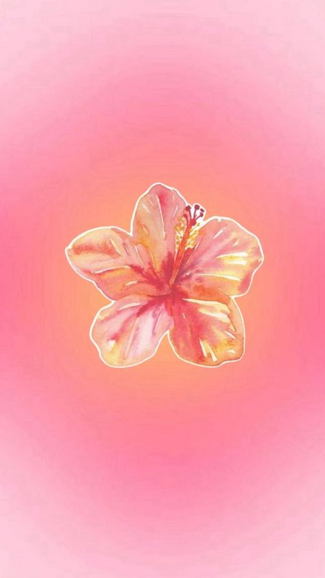 Hibiscus Flower Wallpaper Aesthetic, Hibiscus Wallpaper, Jelly Wallpaper, Phone Wallpaper Boho, Cute Summer Wallpapers, Wallpaper Iphone Summer, Phone Wallpaper Pink, Simple Iphone Wallpaper, Preppy Wallpaper