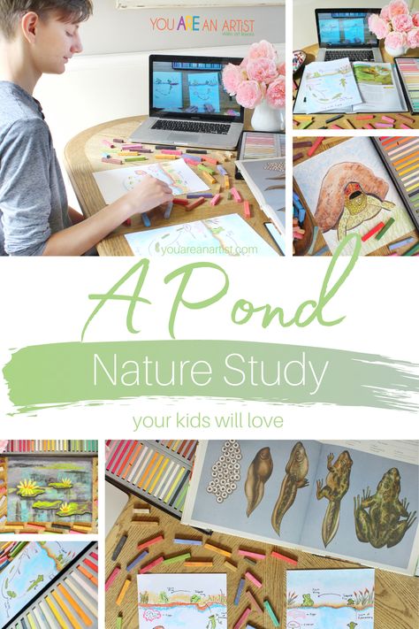 Homeschool Nature Activities, Pond Unit Study, Summer Homeschool Activities, Frog Life Cycle Printable, Frog Life Cycle Activities, Frogs For Kids, Homeschool Tools, Pond Crafts, Nature Club