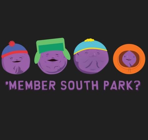 Member Berries, Craig South Park, South Park Memes, North Garden, Tweek And Craig, South Park Anime, South Park Funny, Cricut Craft Room, Comedy Central